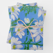 White Daisies auf Sky Blue Hintergrund Geschenkpapier Set (Beispiel)