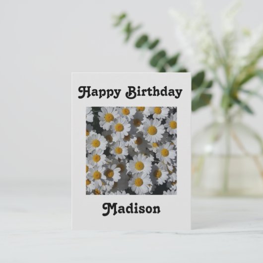 White Daisies Birthday Postkarte (Stehend Vorderseite)