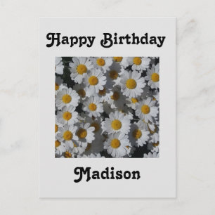 White Daisies Birthday Postkarte