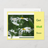 White Daisies Collage Cust. Schnelle Postkarte (Vorne/Hinten)
