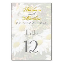 White Daisies Gelb und Gray Script Elegant Tischnummer