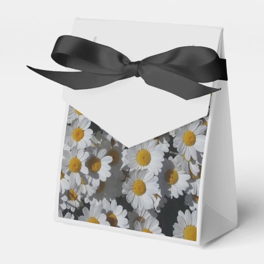 White Daisies Geschenkschachtel (Vorderseite)