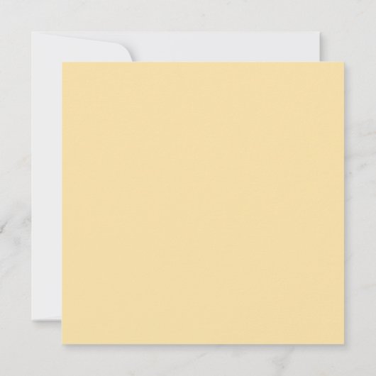 White Daisies Gold Gelb in Korallenschmetterling F Einladung (Rückseite)