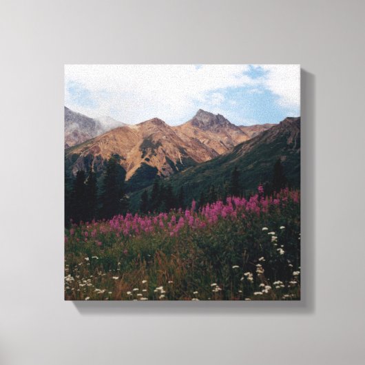 White Daisies Lila Fireweed Talkeetna Mtns. Leinwanddruck (Vorderseite)