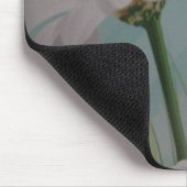 WHITE DAISIES MOUSEPAD (Ecke)