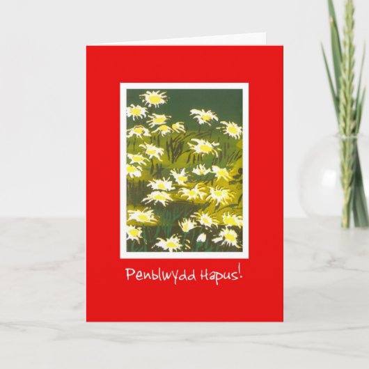 White Daisies on Red Birthday Card: Welsh Greeting Karte (Vorderseite)