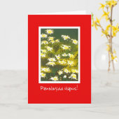 White Daisies on Red Birthday Card: Welsh Greeting Karte (Gelbe Blume)