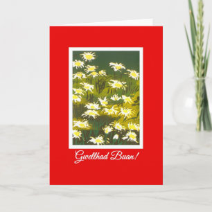 White Daisies on Red Get Well Card: Welsh Greeting Karte