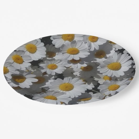 White Daisies Pappteller (Schrägansicht)