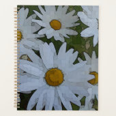 White Daisies Planer (Vorderseite)