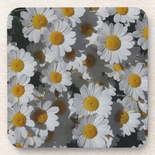White Daisies Plastic Untersetzer (Vorderseite)