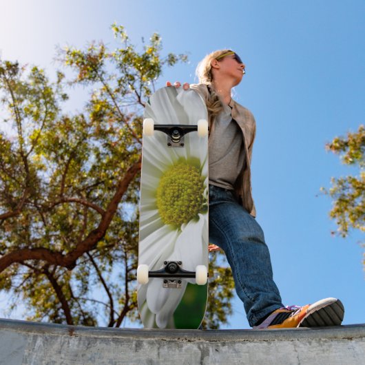 White Daisies Skateboard (Außenbereich 1)