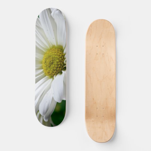 White Daisies Skateboard (Vorderseite)