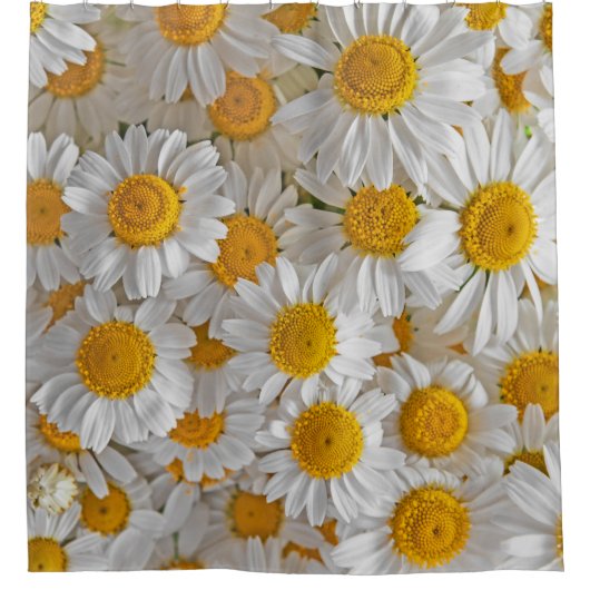 White Daisis: Schöner Blumenhintergrund Duschvorhang (Vorderseite)