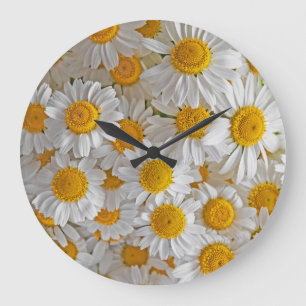 White Daisis: Schöner Blumenhintergrund Große Wanduhr