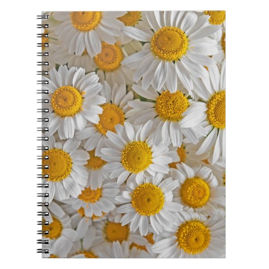 White Daisis: Schöner Blumenhintergrund Notizblock (Vorderseite)