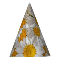 White Daisis: Schöner Blumenhintergrund