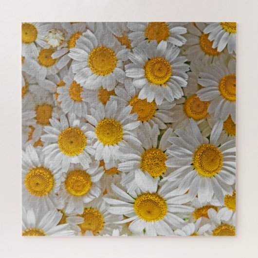 White Daisis: Schöner Blumenhintergrund Puzzle (Horizontal)