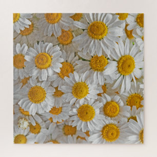 White Daisis: Schöner Blumenhintergrund Puzzle