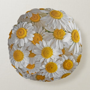 White Daisis: Schöner Blumenhintergrund Rundes Kissen