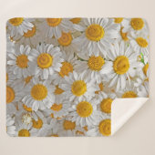 White Daisis: Schöner Blumenhintergrund Sherpadecke (Vorderseite (Horizontal))
