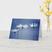 White Daisis über blaues Hintergrund Karte (Gelbe Blume)