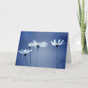 White Daisis über blaues Hintergrund Karte