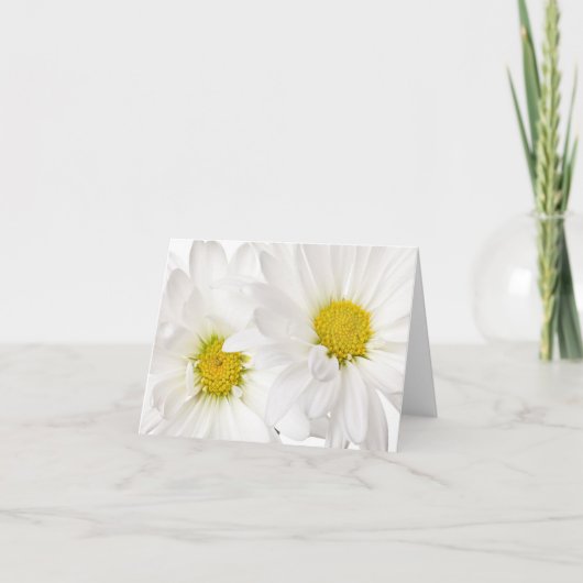 White Daisis - Vorlage für benutzerdefinierte Dais (Vorderseite)