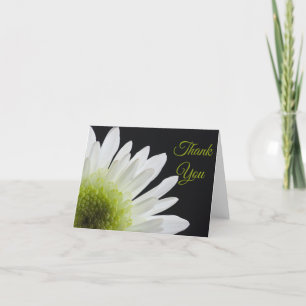 White Daisy auf Black Danke