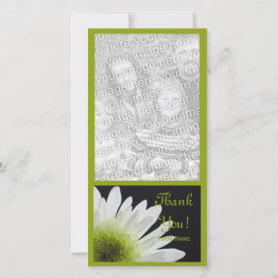 White Daisy auf Black Danke Foto Card
