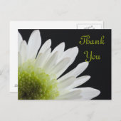 White Daisy auf Black Danke Postkarte (Vorne/Hinten)