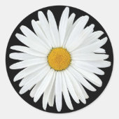 White Daisy auf Black Floral Runder Aufkleber (Vorderseite)