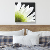 White Daisy auf Black Leinwanddruck (Insitu (Schlafzimmer))