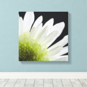 White Daisy auf Black Leinwanddruck (Insitu (Holzboden))