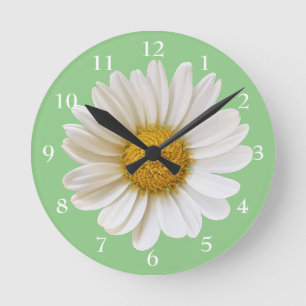White Daisy auf Sage Green Floral Runde Wanduhr