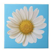 White Daisy auf Sky Blue Background Fliese (Vorderseite)
