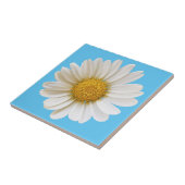 White Daisy auf Sky Blue Background Fliese (Seite)