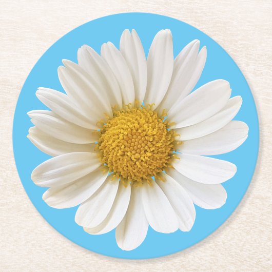 White Daisy auf Sky Blue Background Runder Pappuntersetzer (Vorderseite)