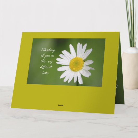 White Daisy Beileid Karte (Rückseite)