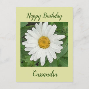 White Daisy Birthday Postcard Postkarte