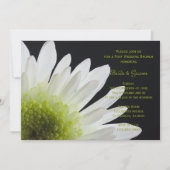 White Daisy Black Post Wedding Brunch Einladung (Vorderseite)