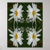 White Daisy Blume Abstrakt Poster (Vorne)