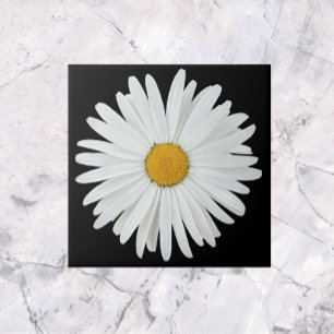 White Daisy Blume auf Black Floral Fliese