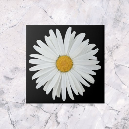 White Daisy Blume auf Black Floral Fliese