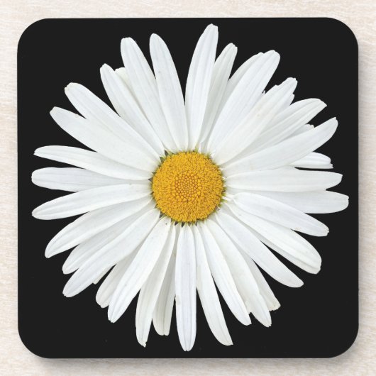 White Daisy Blume auf Black Floral Getränkeuntersetzer (Vorderseite)
