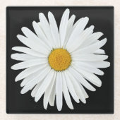 White Daisy Blume auf Black Floral Glasuntersetzer (Vorderseite)