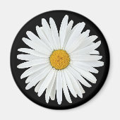 White Daisy Blume auf Black Floral Magnet (Vorne)