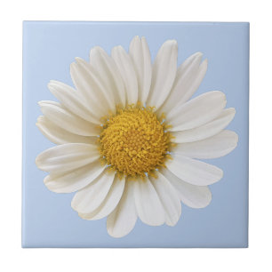 White Daisy Blume auf hellblauem Hintergrund Fliese