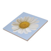 White Daisy Blume auf hellblauem Hintergrund Fliese (Seite)