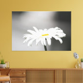 White Daisy Blume Bloom Leinwanddruck (Insitu (Wohnzimmer))